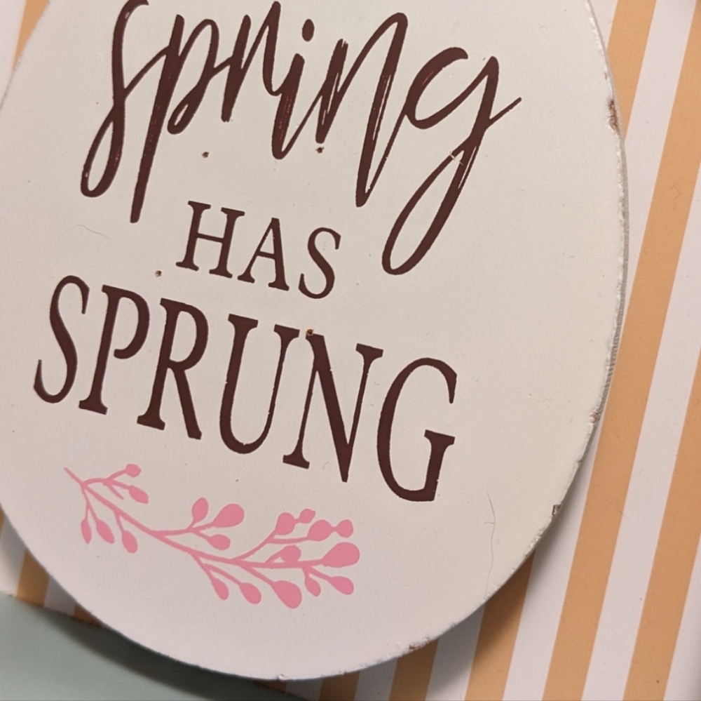 Signature Select Seasons Spring Has Sprung Pastel Shadowbox Decoration - Picture 8 of 10